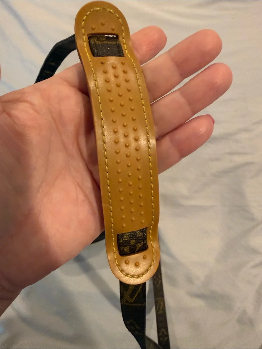Louis Vuitton iconic louis